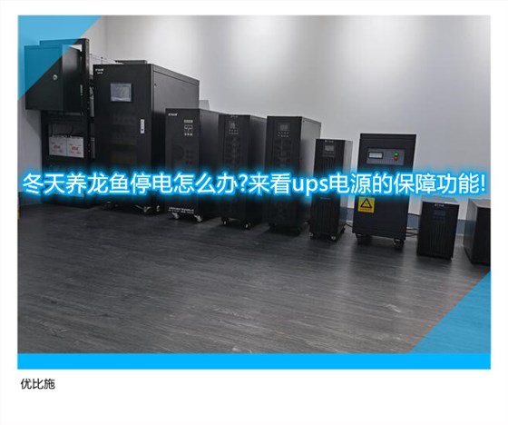 冬天养龙鱼停电怎么办?来看ups电源的保障功能!