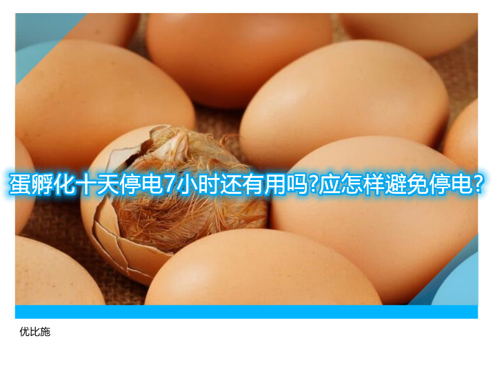 蛋孵化十天停电7小时还有用吗?应怎样避免停电?