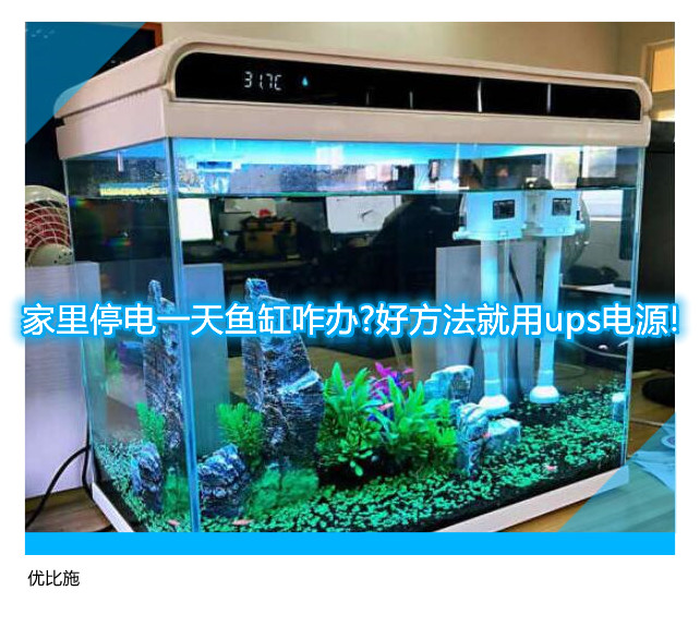 家里停电一天鱼缸咋办?好方法就用ups电源!