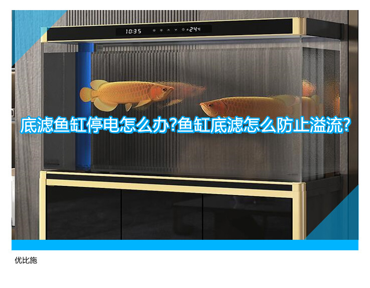 底滤鱼缸停电怎么办?鱼缸底滤怎么防止溢流?