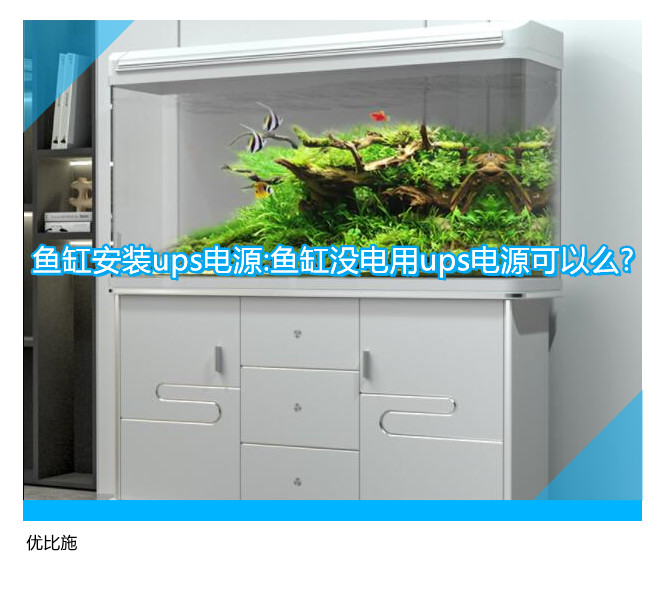 鱼缸安装ups电源:鱼缸没电用ups电源可以么?