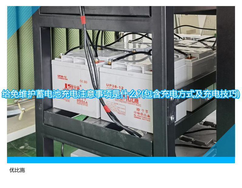 给免维护蓄电池充电注意事项是什么?(包含充电方式及充电技巧)