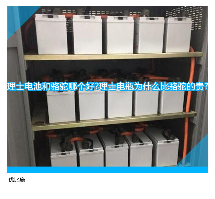 理士电池和骆驼哪个好?理士电瓶为什么比骆驼的贵?